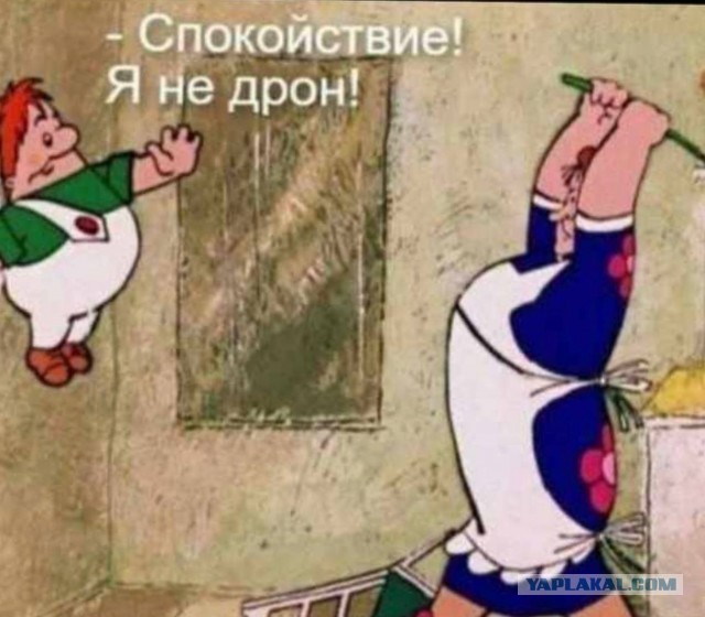 Всего понемногу. От 15.12.23