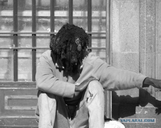 Хочу дачу на канарах!