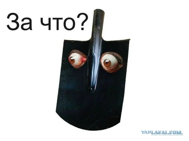 Склад Wildberries в Шушарах.