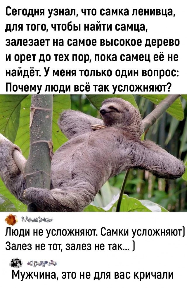 Маленькая пятница.