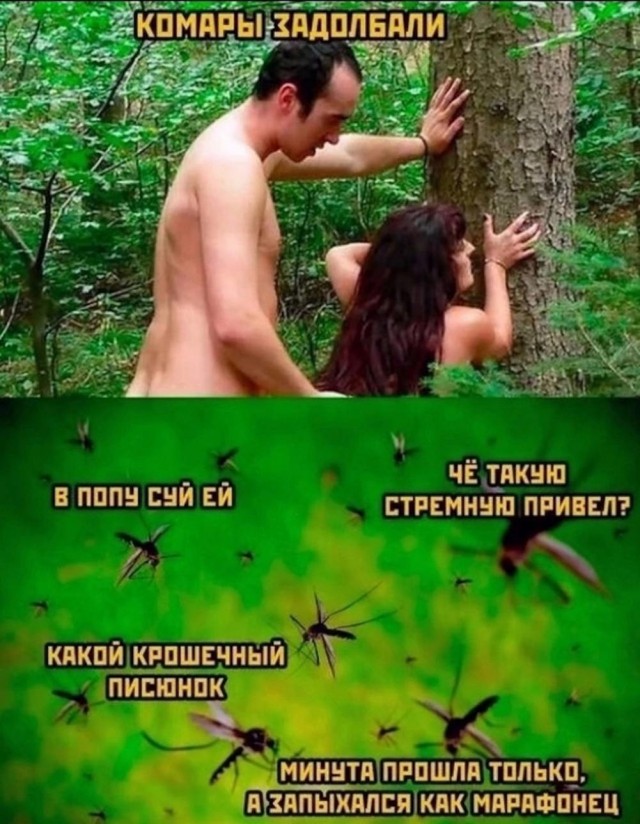 Прикольные и просто красивые картинки 09.08.2024