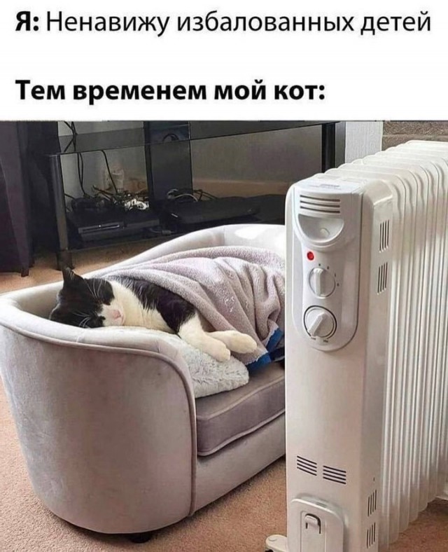 Так себе картинки 22.11.24