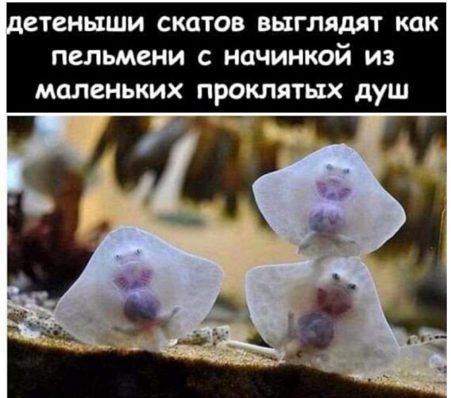 Картинки разные с надписями и без