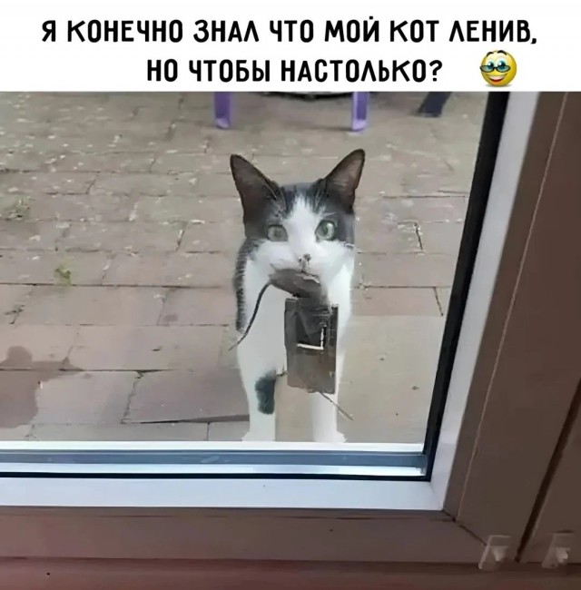 Завалялось тут случайно немного забавных картинок