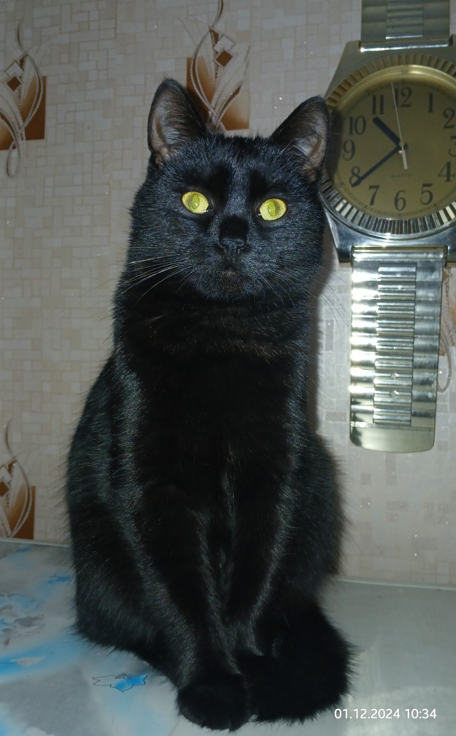 19851658.jpg