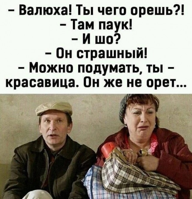 Веселые картинки в пятницу (04.07)