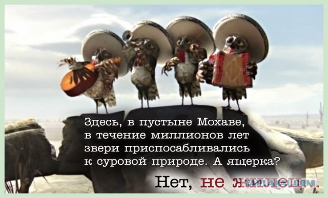 Мужчина верхом на лошади становится свидетелем возвращения воды после долгой засухи.