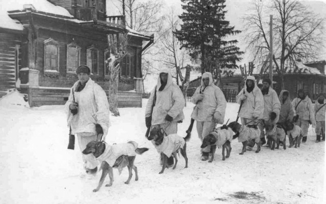 Великая Отечественная в фотографиях-10