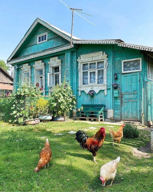 Прикольные и просто красивые картинки 12.08.2025