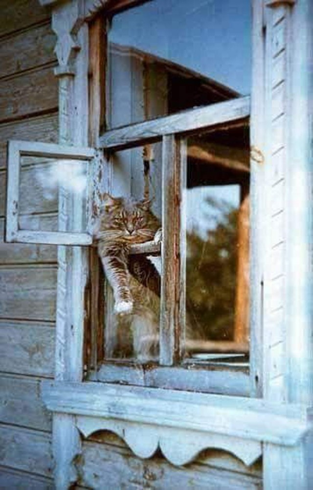 Прикольные и просо красивые картинки 05.09.2025