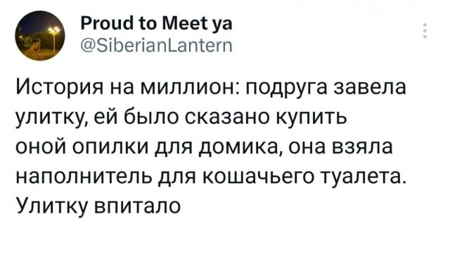 Воскресные картинки