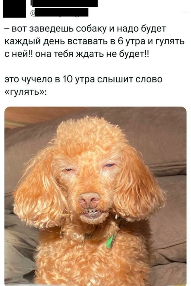 Среды картинки