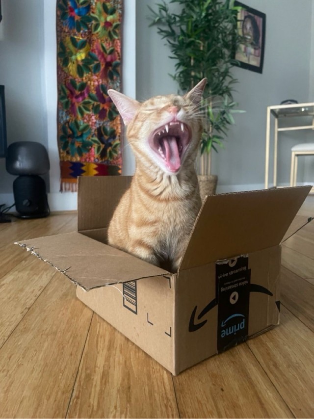 Котокоробковое