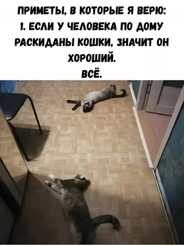 Так себе картинки 06.02.26