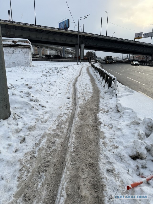 Курьеры в Москве, как сыр в масле катаются!