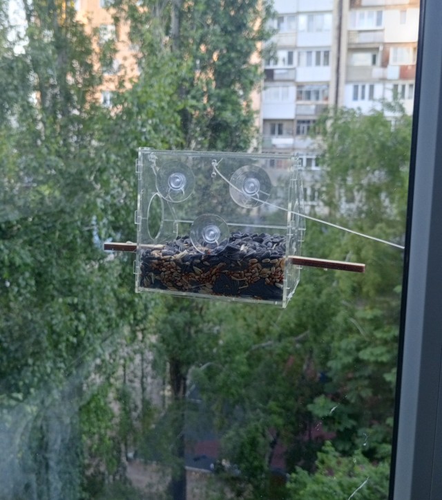 Телевизор для кота