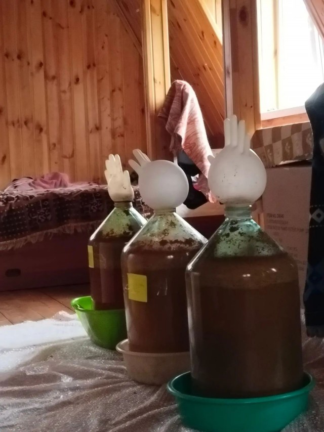 Яблочко от яблони