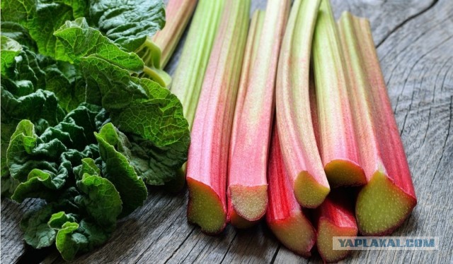 Наши вкусности