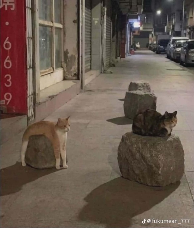 Камушек