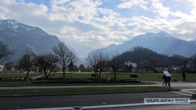 В поисках музея ПрофессораПлейшнера