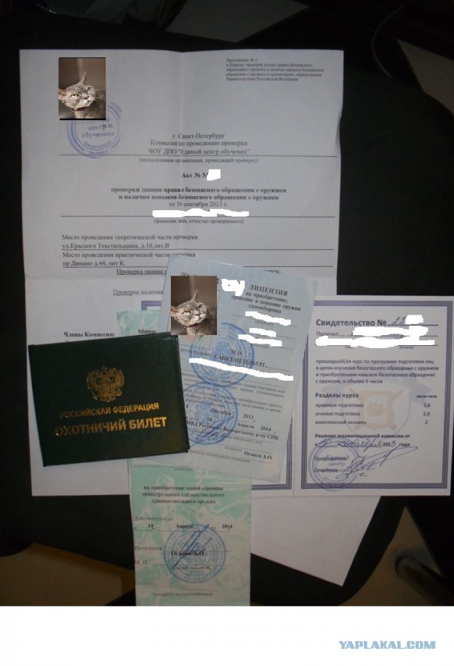 Травматы России