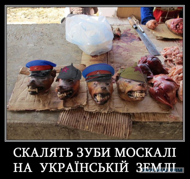 Певица Руслана: я готова сжечь себя на Майдане