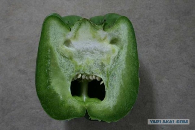Улыбки, которые нас окружают
