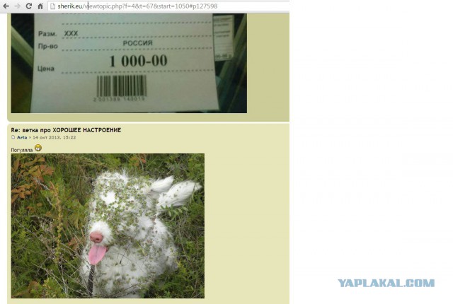 На радость хозяину!