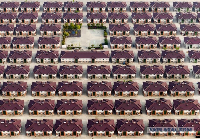 28 самых удачных кадров февраля