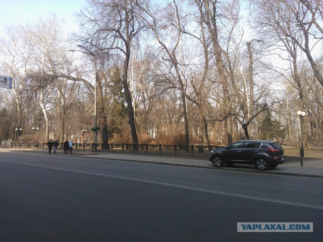 Мариинский парк и ул. Грушевского 26.02.14