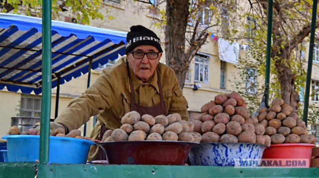 Уличная торговля в разных странах мира