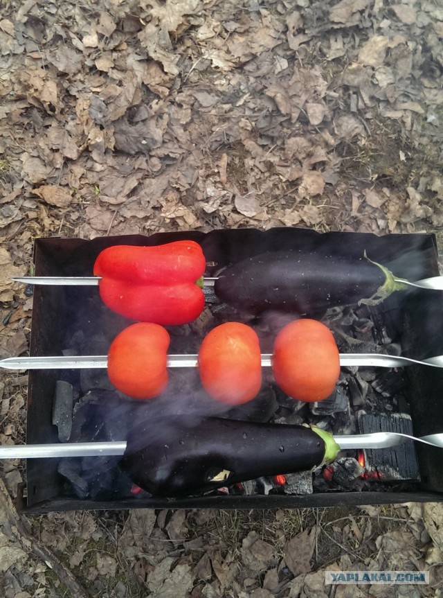 Шашлык, рецепты маринада, все про шашлык!