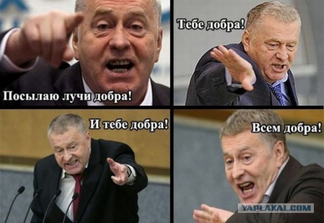 Добряки, плюсующие всех подряд