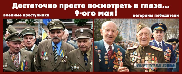 Ветеран бандеровец предложил расстрелять матерей