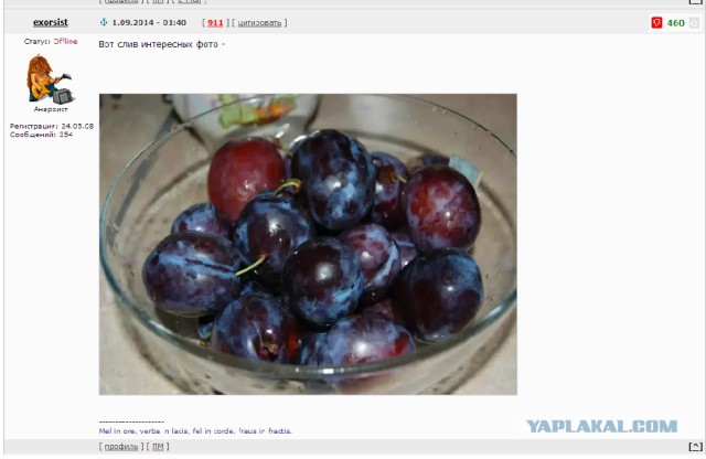Слив интересных фото
