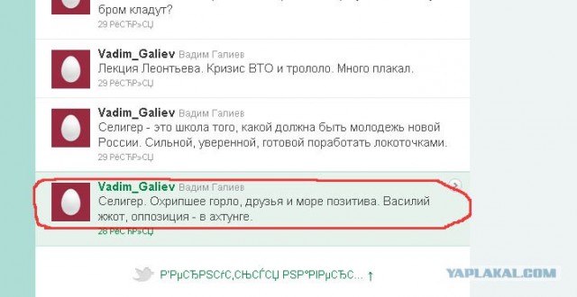 Почему плохо быть «нашистом»