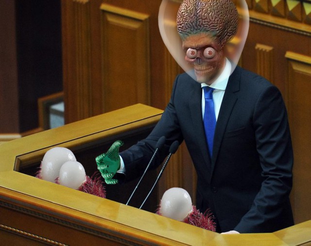 Жабы на яйценюха