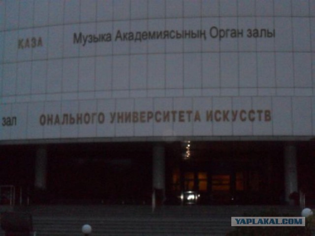 Веселые картинки