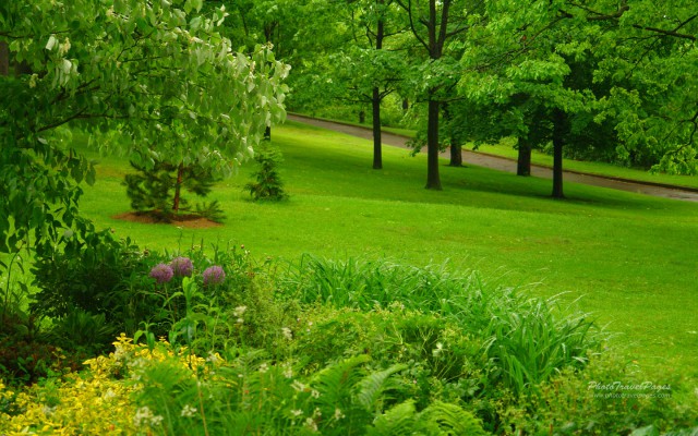 Видео анекдот! везет же с фамилиями