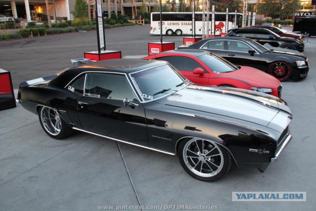 Muscle cars. История сумасшествия