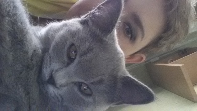 Котовторник 7.07.2015