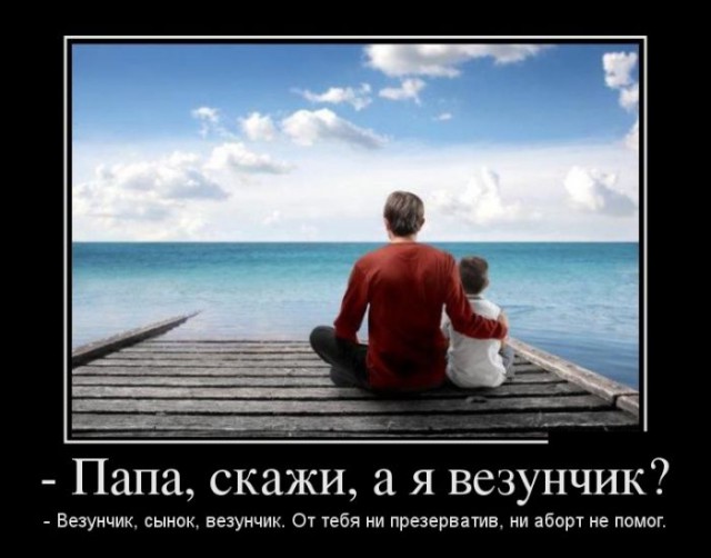 Забавные картинки из Сети