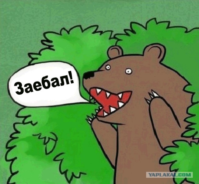 Жаба: Фотолюбитель