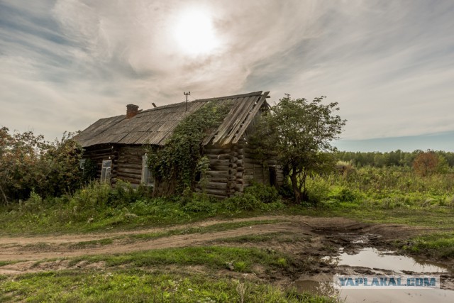 В деревню...