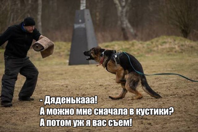 Картинки, демотиваторы и прочие приколы с просторов необъятного
