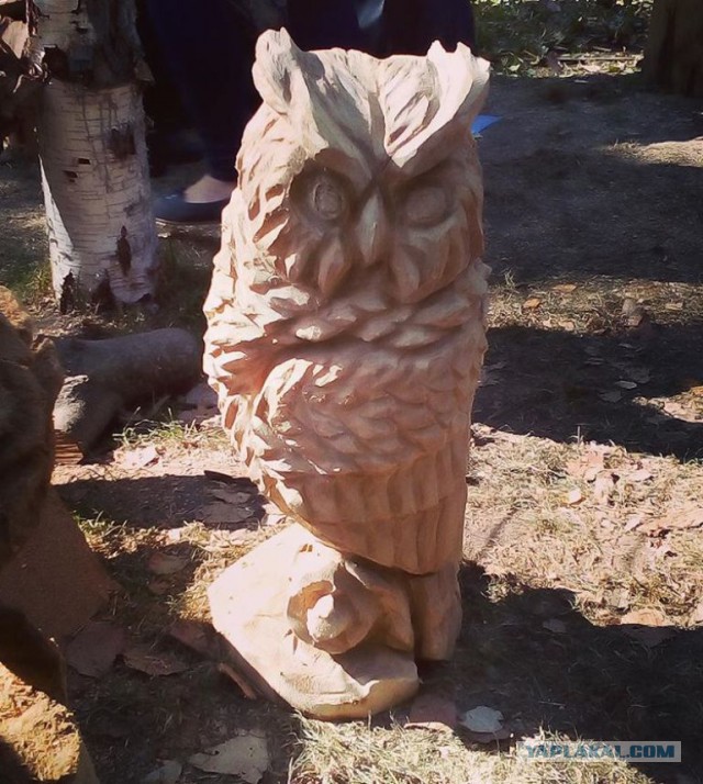 Большая задница