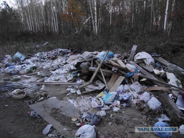 Еду искать Дальневосточный гектар.