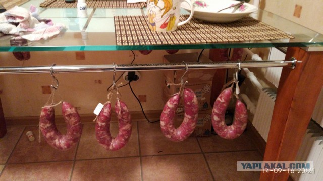 Свиная сыровяленая колбаса в условиях квартиры.