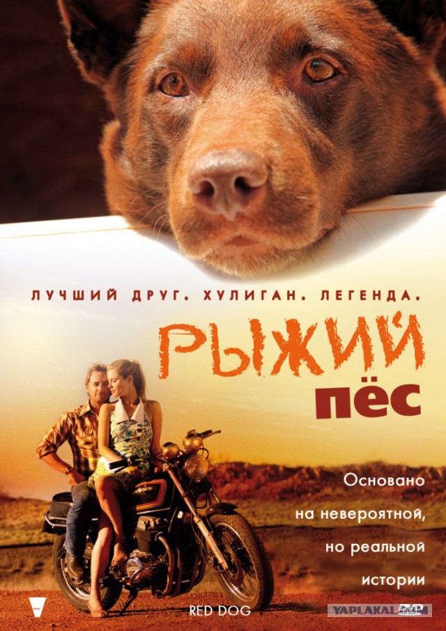 Кадры, бьющие насквозь