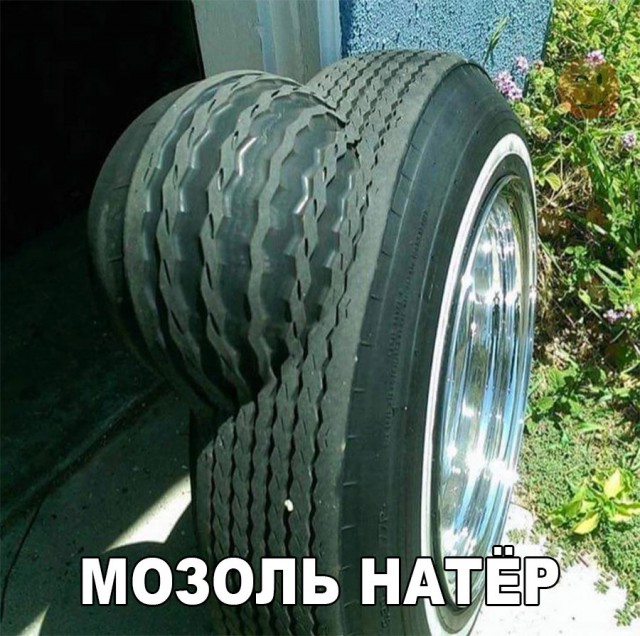 Забавные картинки вразнобой